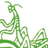 Praying Mantis note card