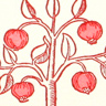 Pomegranate Tree note card