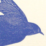 Swallow note card